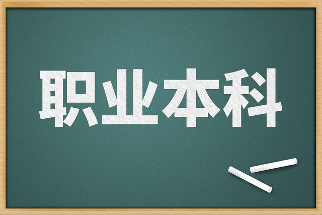 职业本科.jpeg
